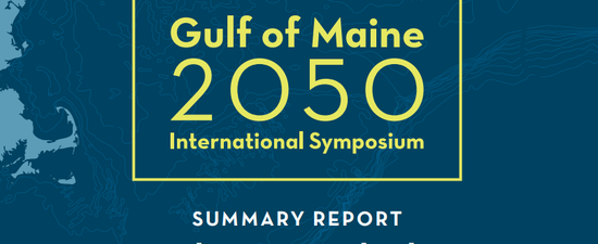 a preview image features an outline of the gulf of Maine with the text "Gulf of Maine 2050 Summary Report"