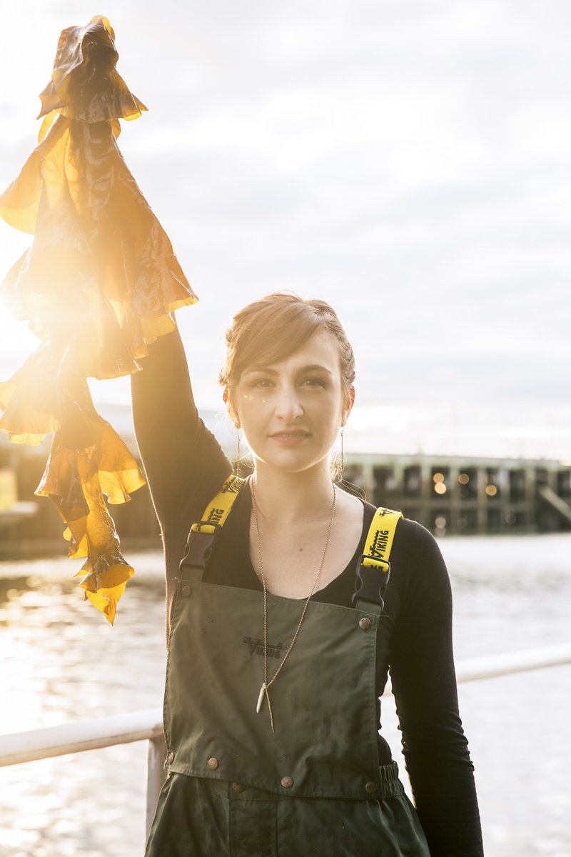 A woman holds up green kelp as the sun shines through, illuminating the green blade.