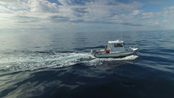 A small white boat moving to the right in a wide open, blue ocean, beneath a blue sky dotted with puffy white clouds.