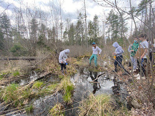 People are walking over a small temporary pool of water in a wooded area.