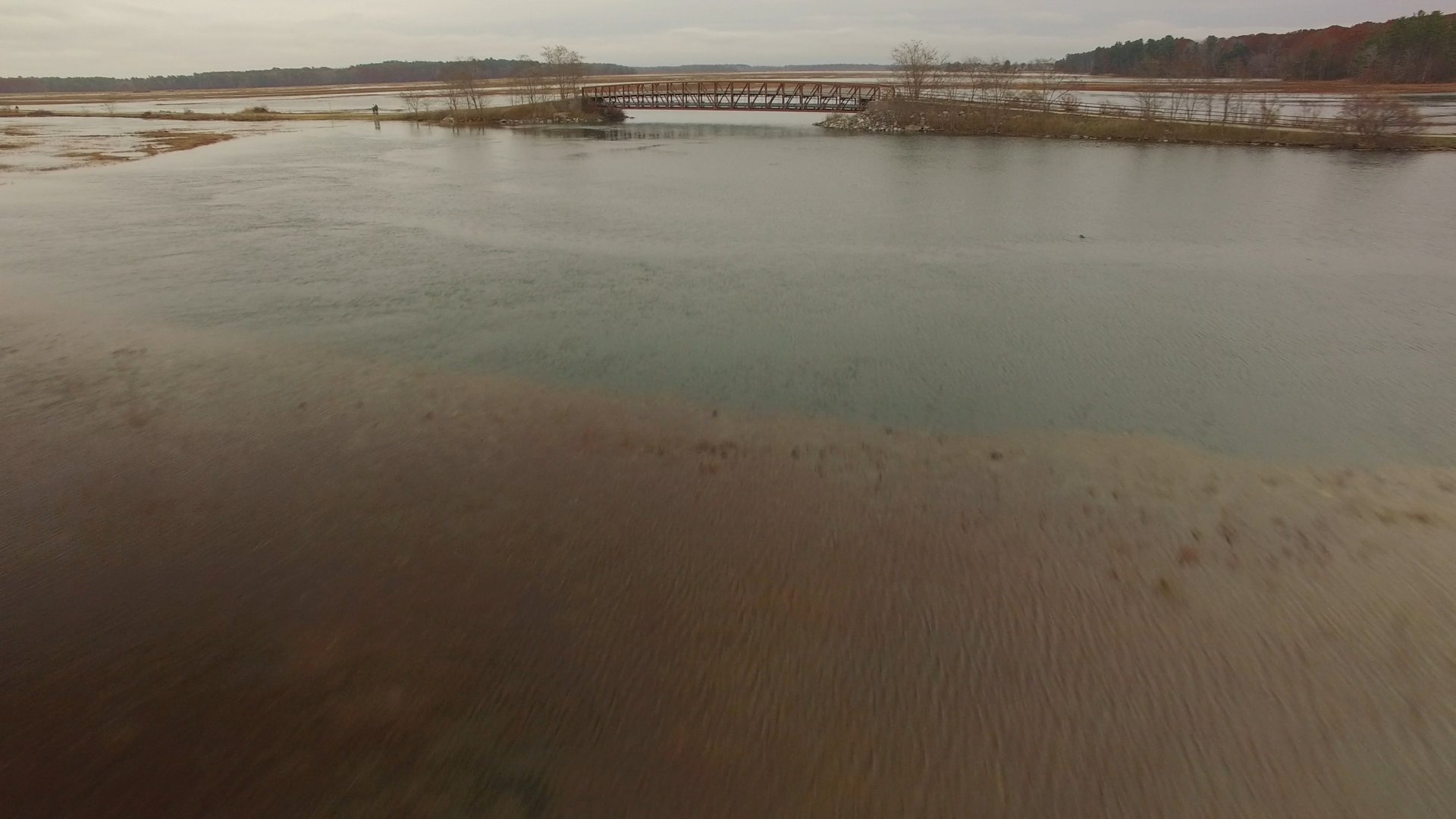 Rising grey waters flood onto land as a bridge appears lower than normal in the distance.