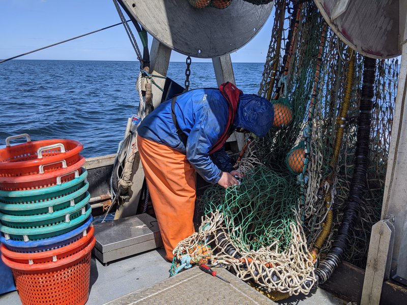 A research tech attaches cameras to a fishing net