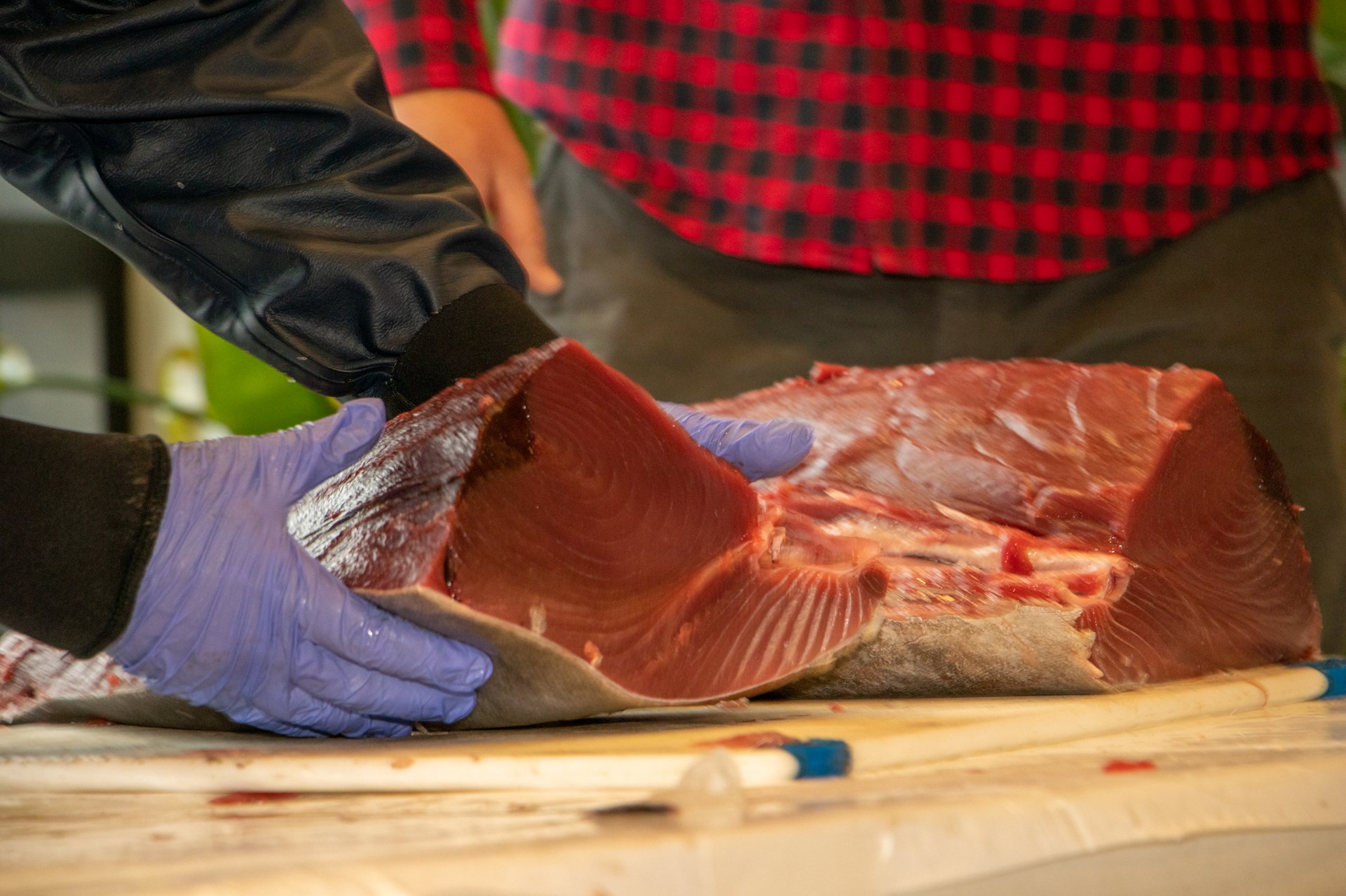 blue gloves hold a freshly butchered tuna loin