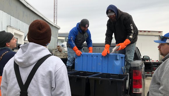 True Fin: Serving Fish & Fishermen