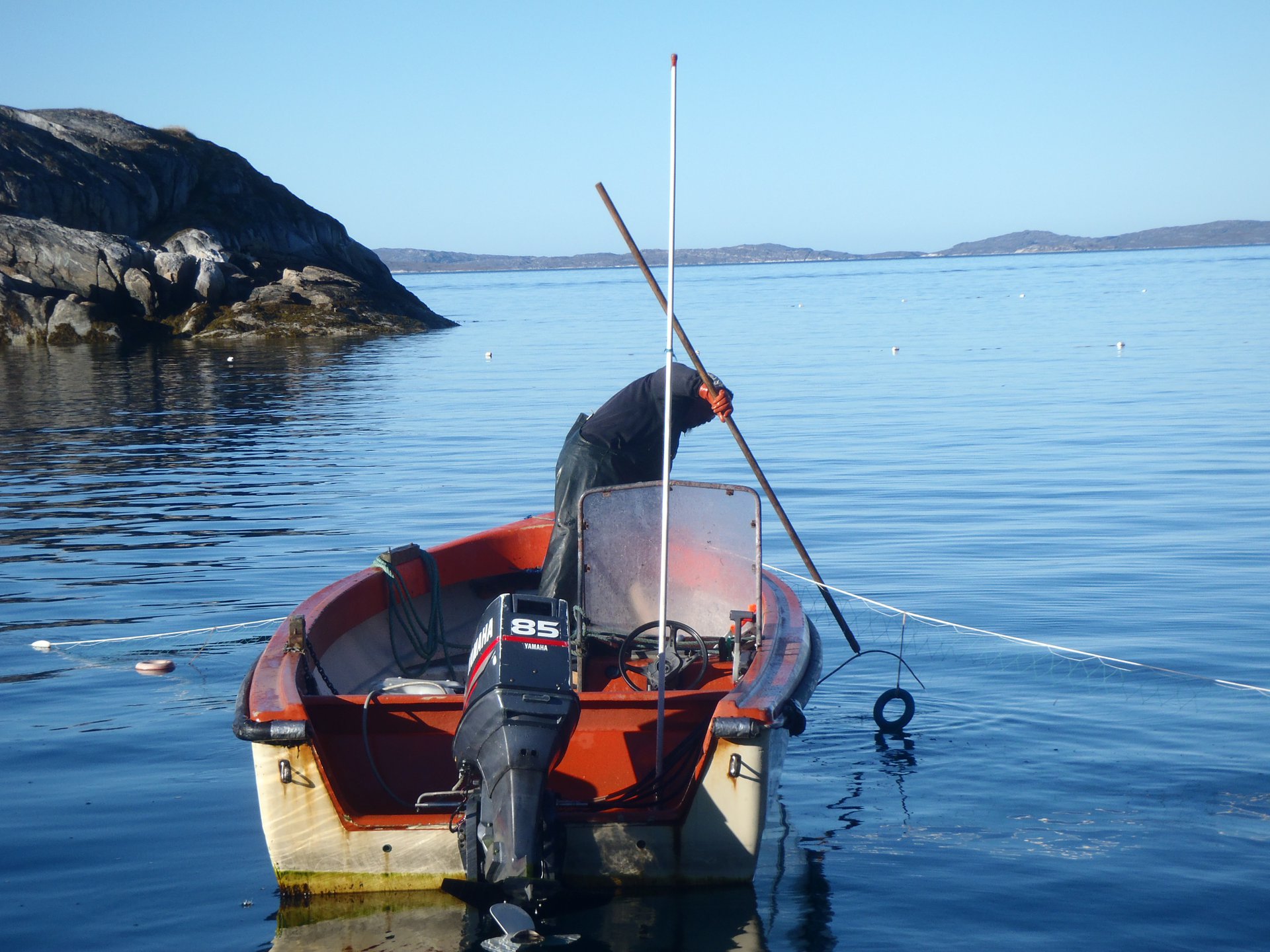 A man uses a gill net while fishing for salmon.