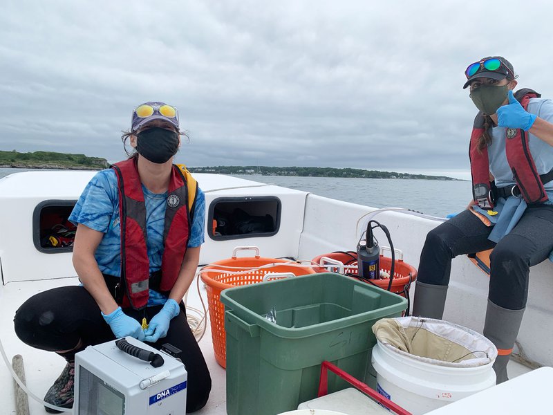 Students from the 2020 REU program doing field work on a GMRI vessel.