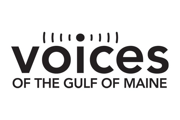 Black text that reads "Voices" over a white background. The dotted "i" looks like an antenna, emitting soundwaves.