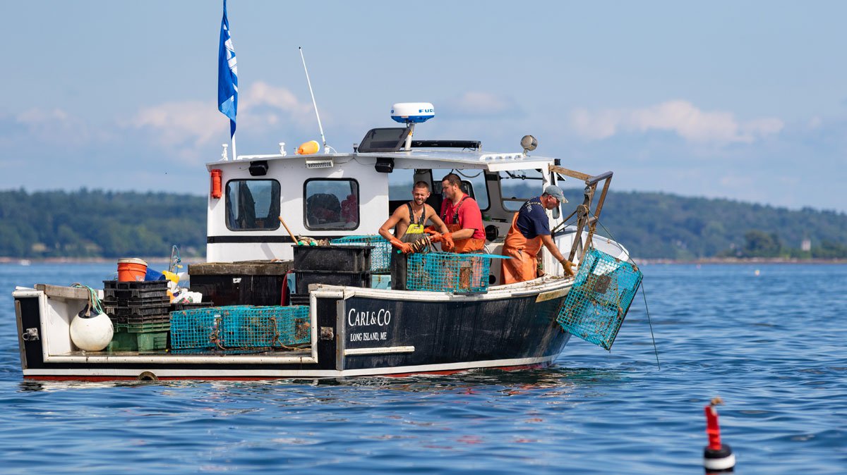 assessing-maximum-economic-yield-efforts-for-maine-s-lobster-fishery-gulf-of-maine-research-institute