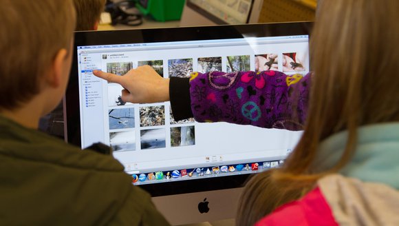 A group of students in a classroom investigating field trip photos on a computer screen with one hand pointing at the screen.