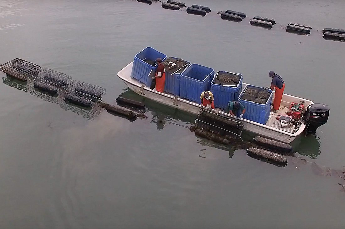 Three fishermen in orange waders stand on a white boat with a line of large blue bins aboard as they drift on gray waters between rows of black buoys.