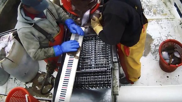 This is a snapshot taken from one of the electronic monitoring devices placed on fishermen boats. It shows the deck of the ship where two fishermen sort through a recent catch.