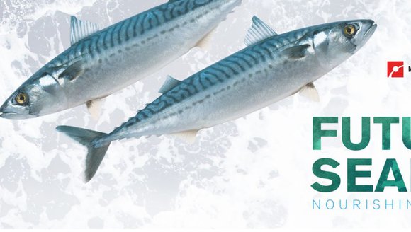 A graphic reading "Future of Seafood, Nourishing the World" in blue and green text with two fish in the top left