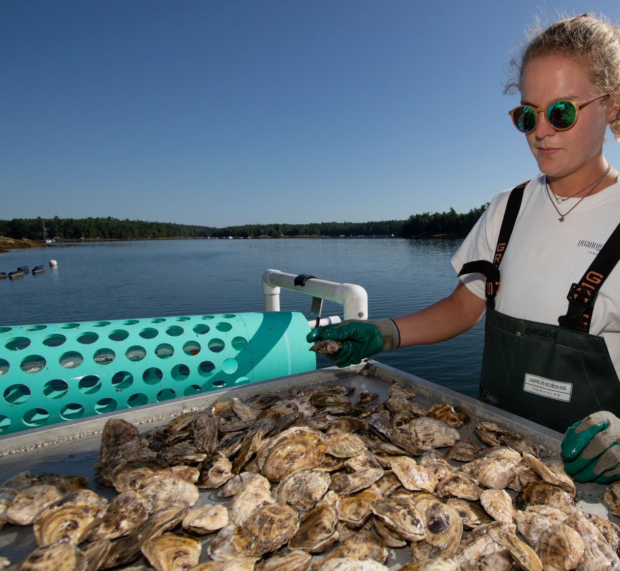 Commercial Oyster Farm Demo Model Gulf of Maine Research Institute