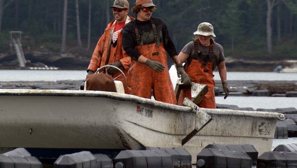 Three fishermen in orange stand on a white boat that is floating to the image's left.