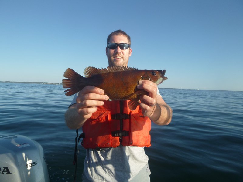 A man holds up a brown fish on a boat.