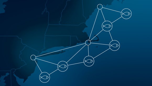 This is a graphic with a blue background and white lines connecting circles.