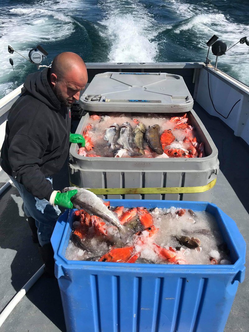 Bins filled with ice and recently caught fish are being unloaded.