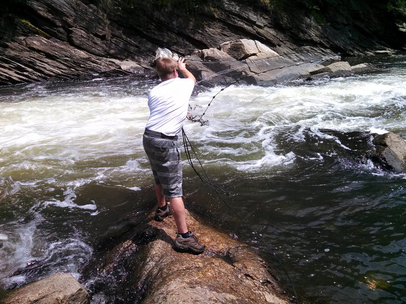 A man in a white shirt tosses a net into a river rapid.