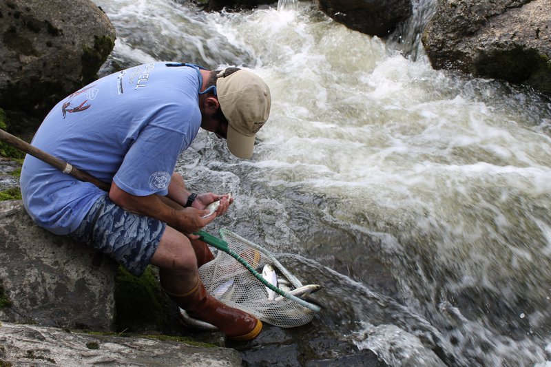 A man in a blue shirt holds a net of fish over a river.