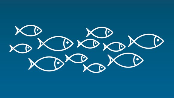 This is an image with a blue background and several simply drawn fish, drawn in white.