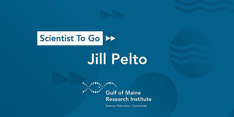 Scientist To Go with Jill Pelto