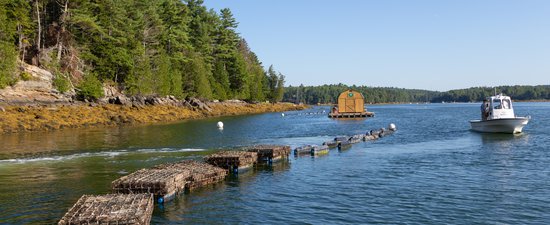 A white boat drifts on blue water next to a line of floating cages.