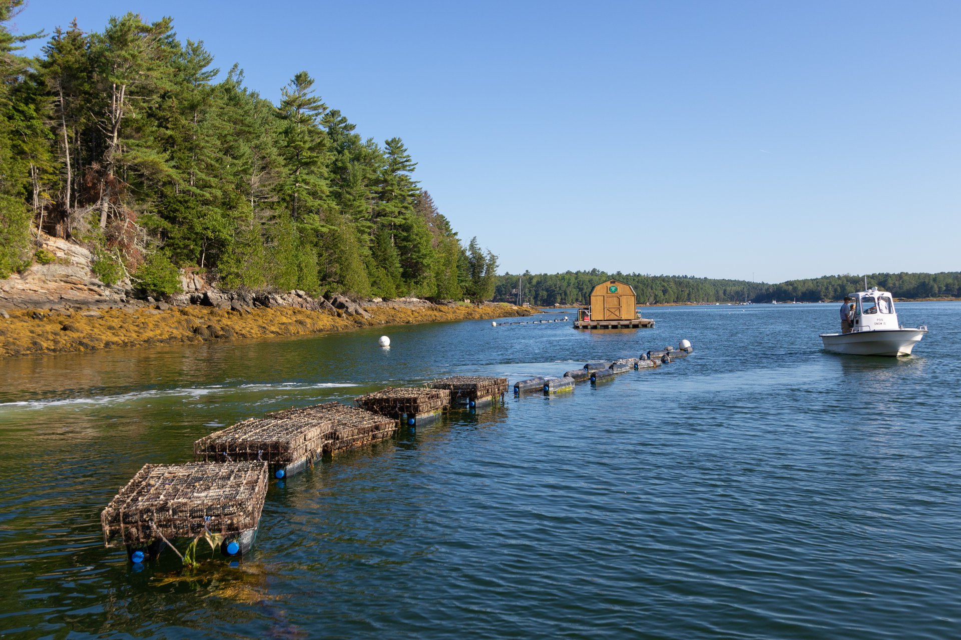 A white boat drifts on blue water next to a line of floating cages.