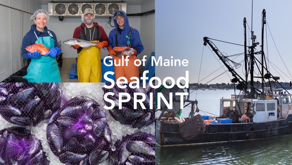 a collage of fish mongers holding fish, a fishing vessel, and bags of blue mussels
