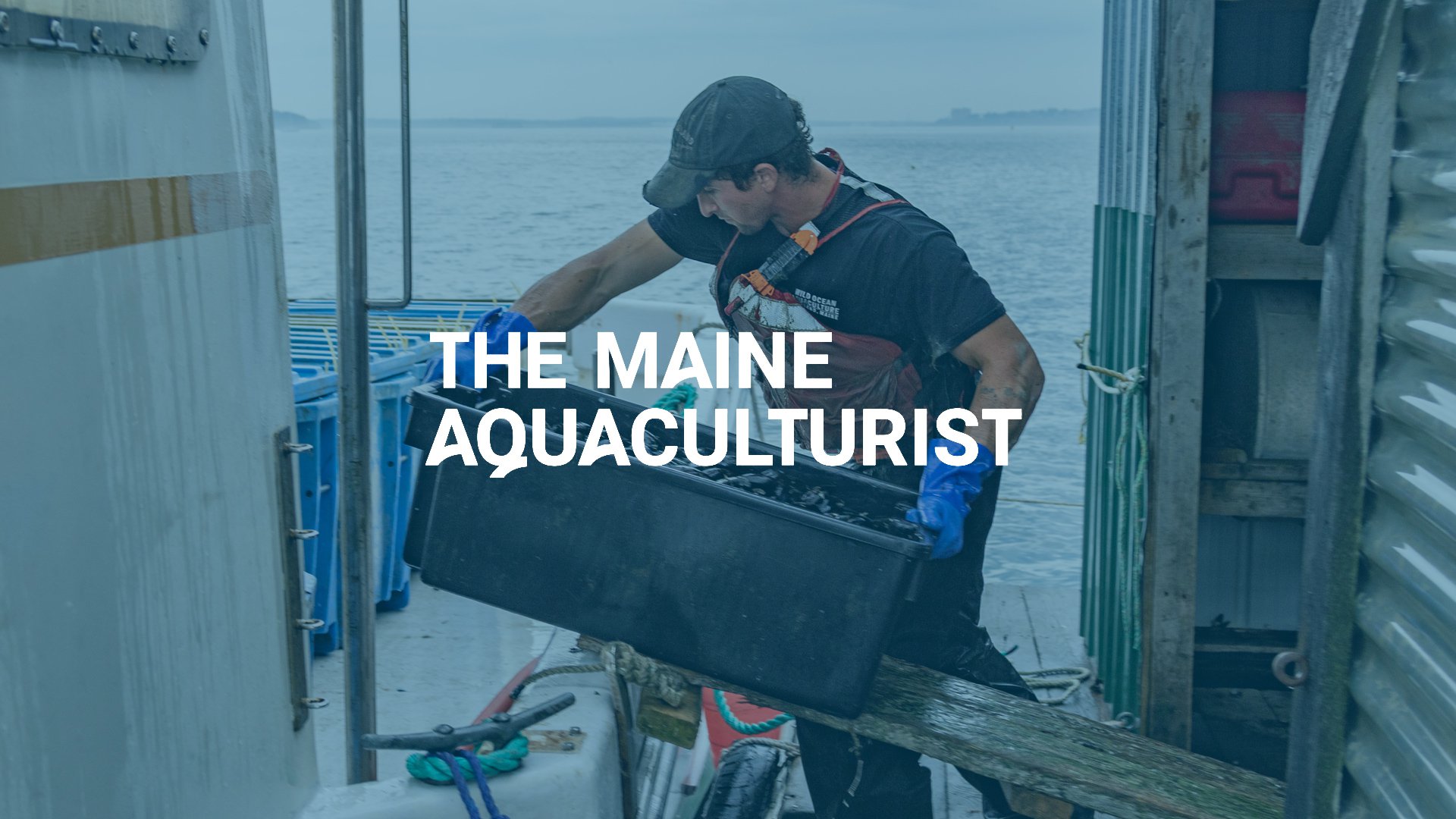 A logo that says "the maine aquaculturist" displayed over an image of a man lifting a crate of mussels