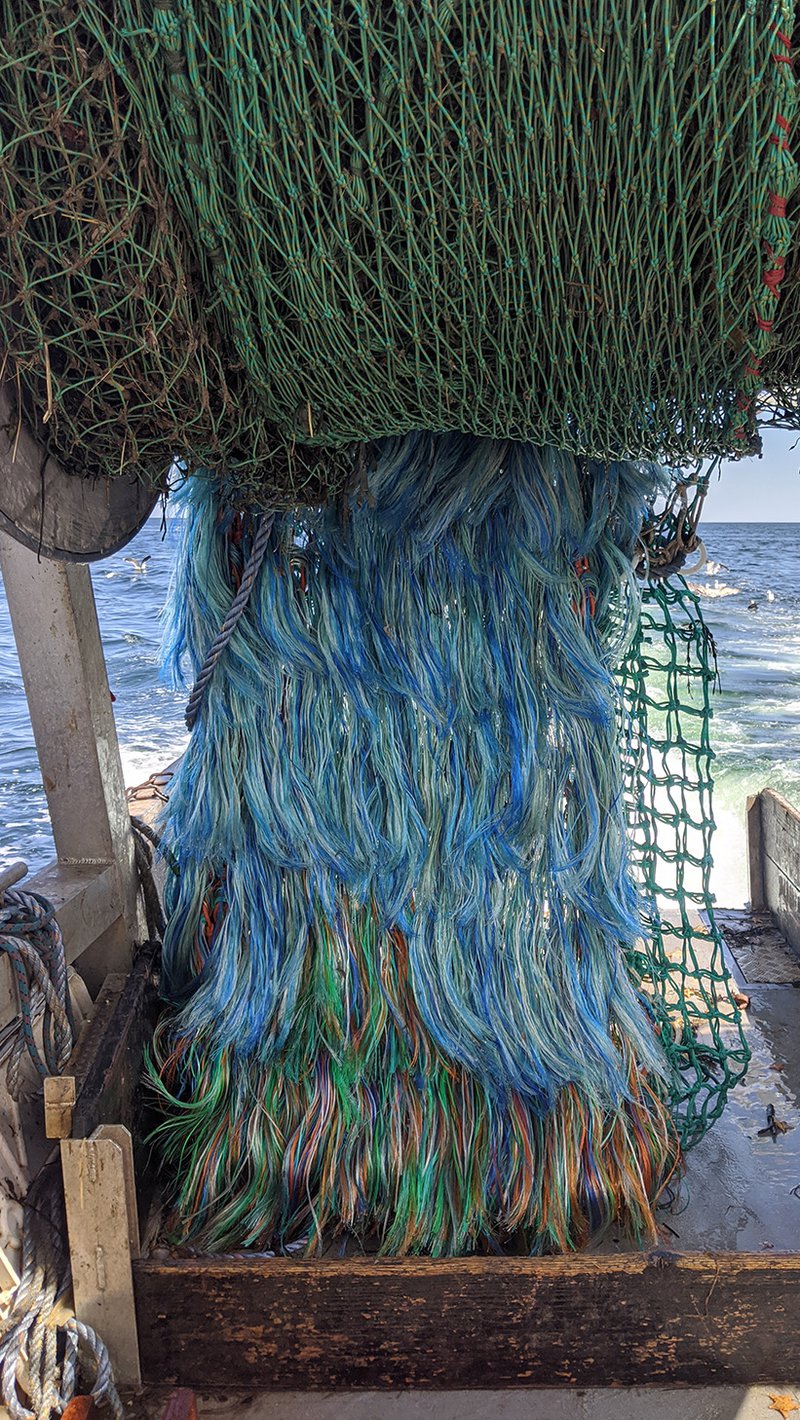 Horse like hair that protects the trawl net from chafing along the seafloor.